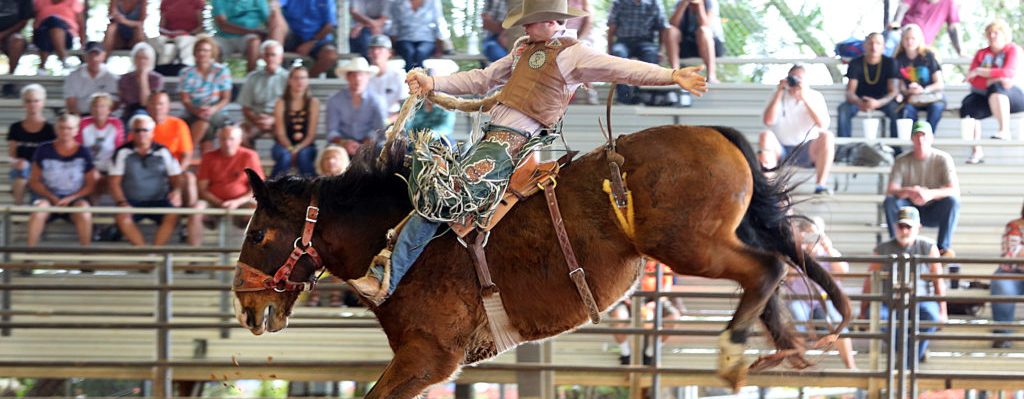 Br-Field-Day-2-14-20-rodeo-saddle-bronc-2-1024x684