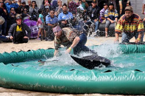Field-day-gator-wrestling-web